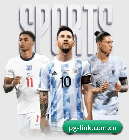 五大服务分区,信息按项目分类(pg)