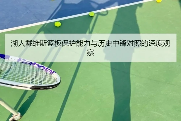 湖人戴维斯篮板保护能力与历史中锋对照的深度观察